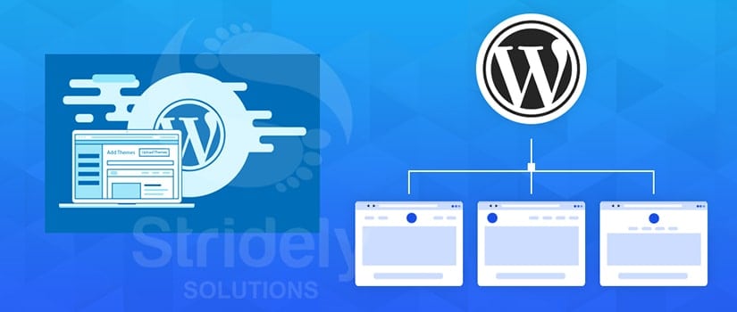 Top Reasons to use WordPress Multisite CMS
