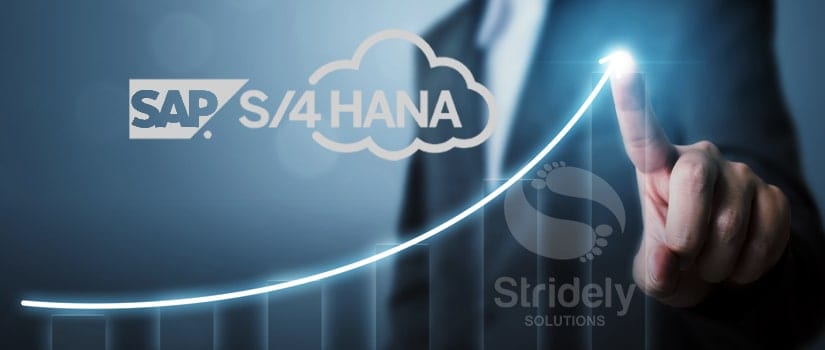 S/4HANA Upgrade (Technical, Functional upgrade and Fiori upgrade)