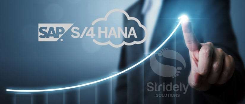 S/4HANA Upgrade (Technical, Functional upgrade and Fiori upgrade)