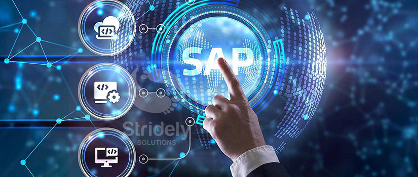 Understanding the Know-How of Statistical Analysis of the SAP BW4HANA Infrastructure