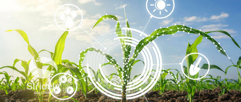 Machine learning for Precision Agriculture: How Smart Farming can Leverage from ML?