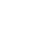 Stridely Solutions Logo