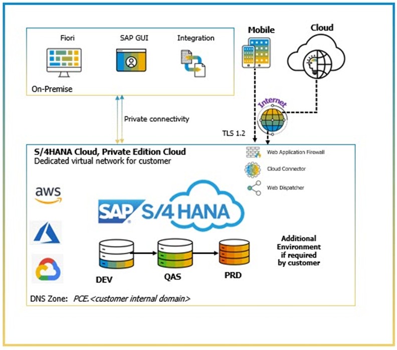 The RISE with SAP 