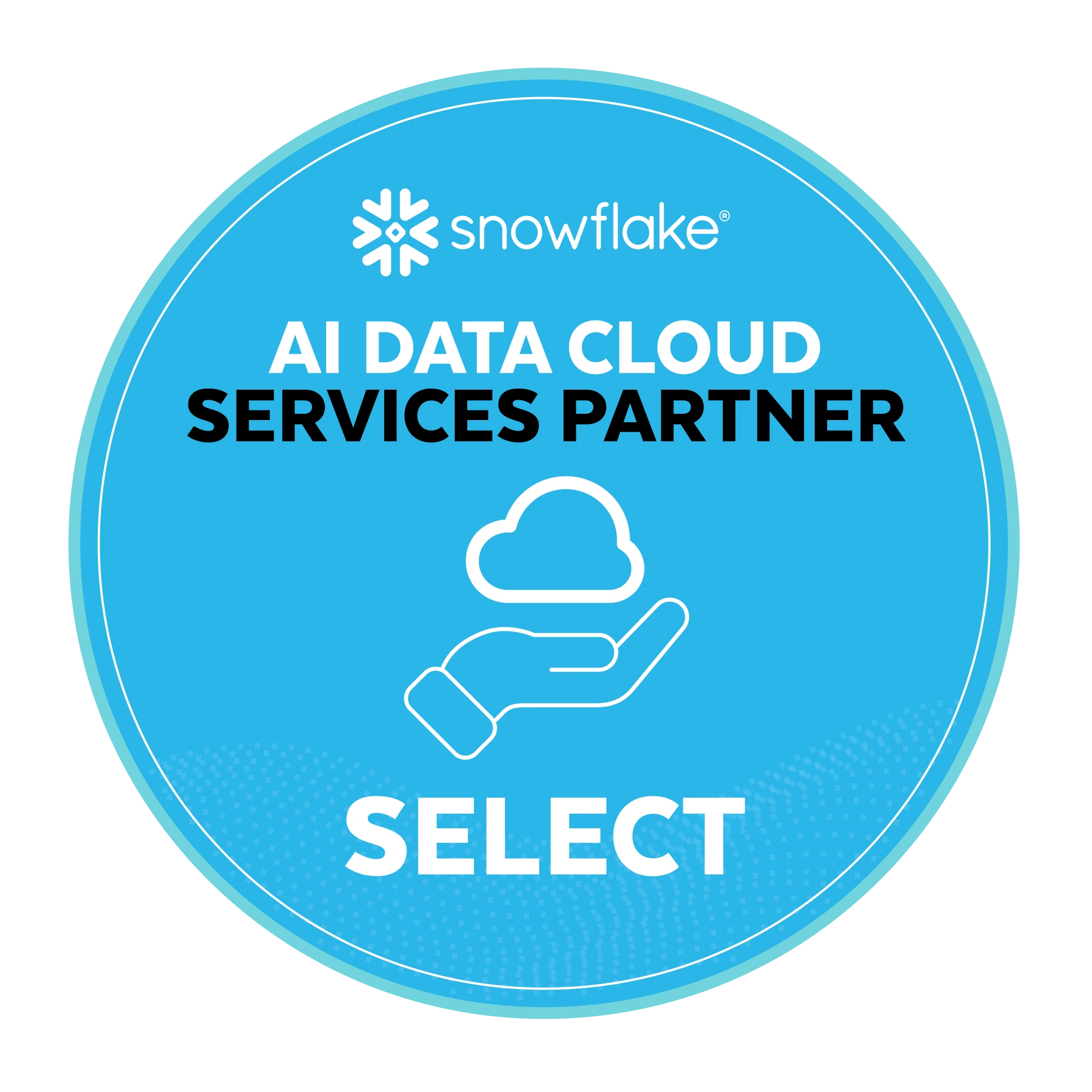 Snowflake services partner