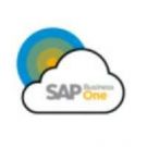SAP _Business _One_(B1)_logo